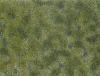Noch 07250 - Foliage de couverture végétale, vert moyen