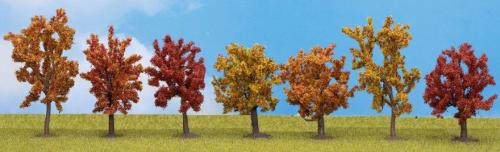 Noch 25070 - 7 arbres d'automne