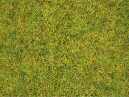 Noch 08310 - Flocage herbe d'été, 20 g